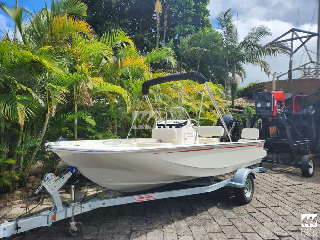 Boston Whaler 170montauk