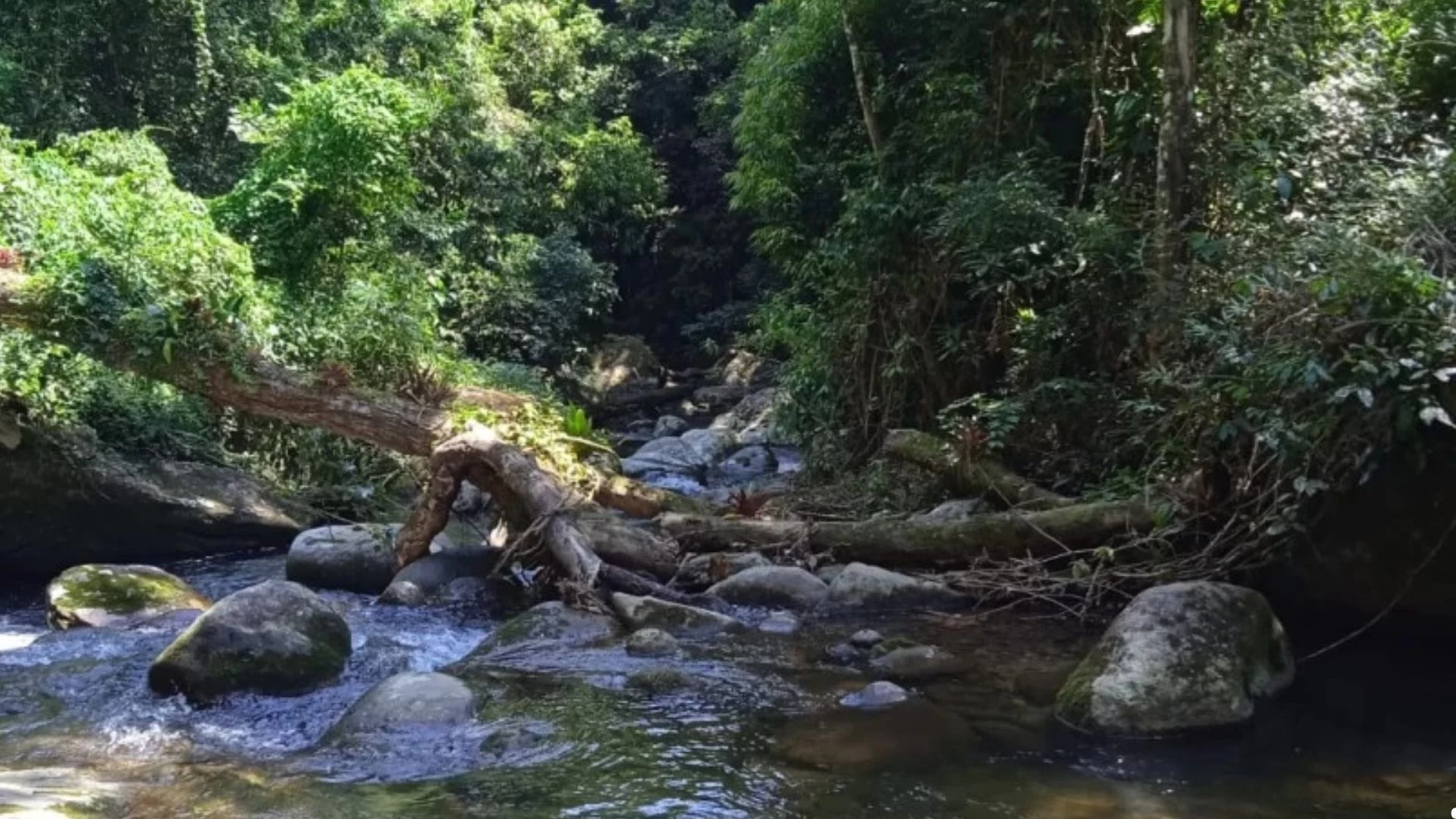 Cachoeira da Lage
