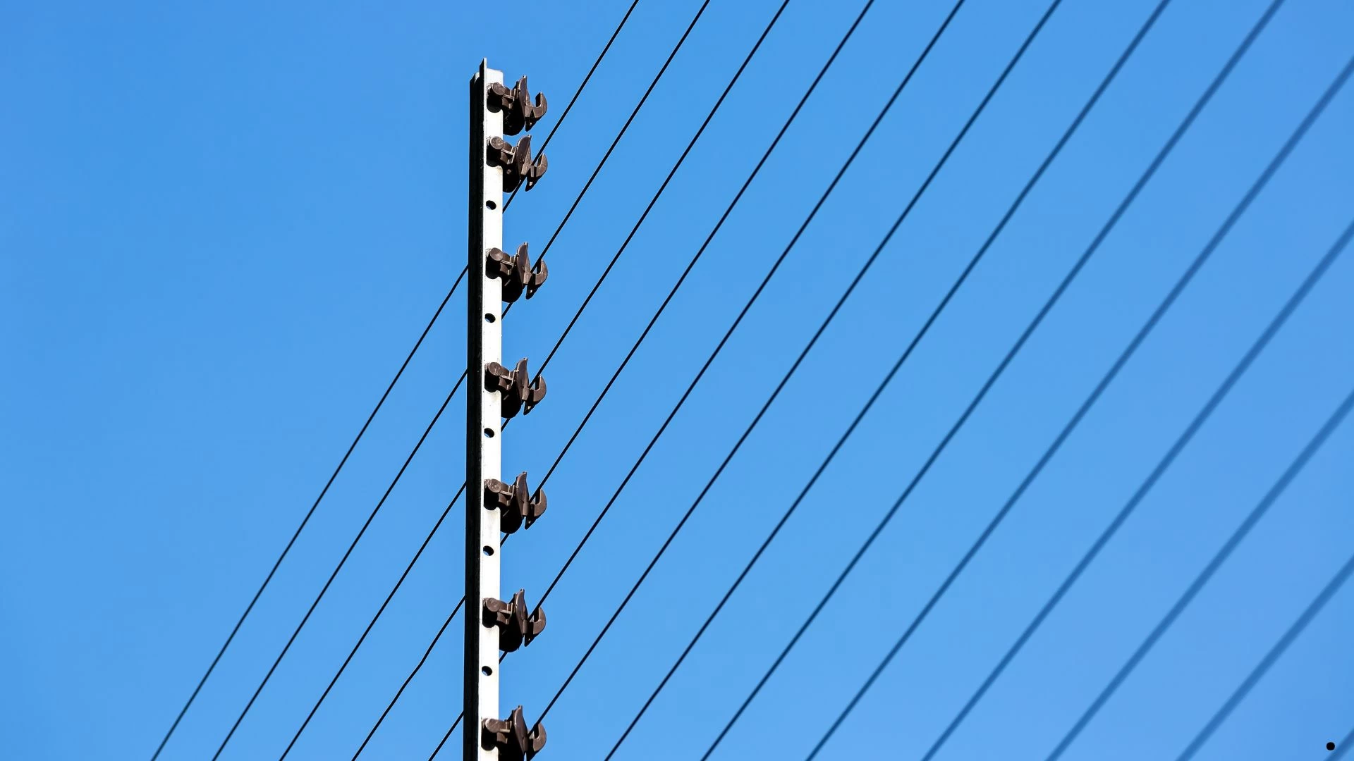 Cerca Elétrica
