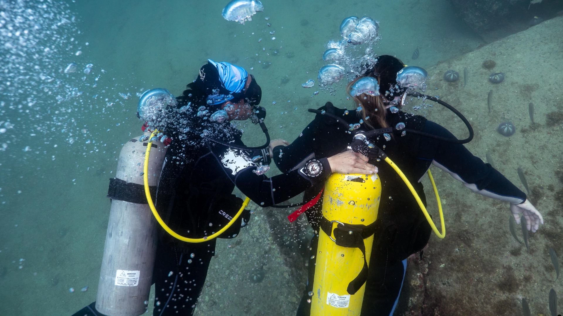 Curso Open Water Padi