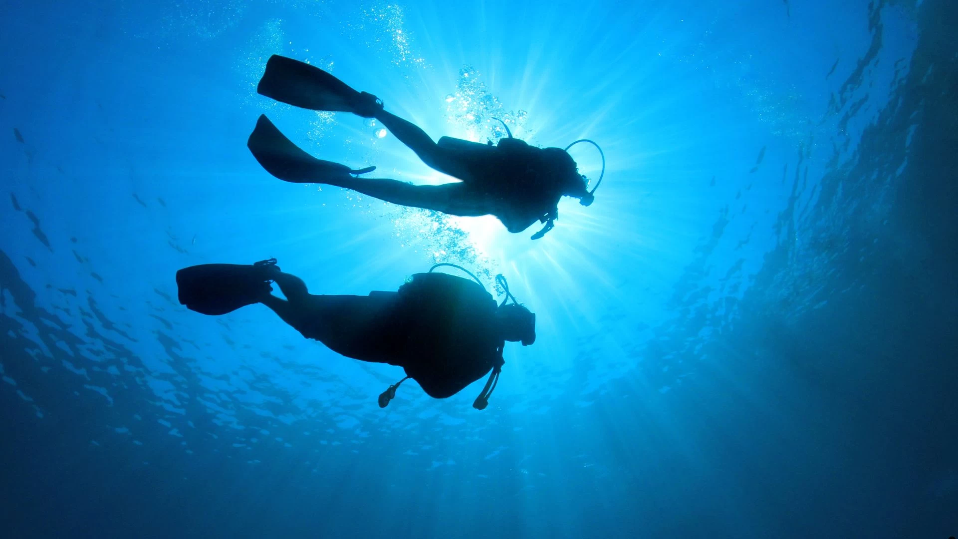 Curso Rescue Dive