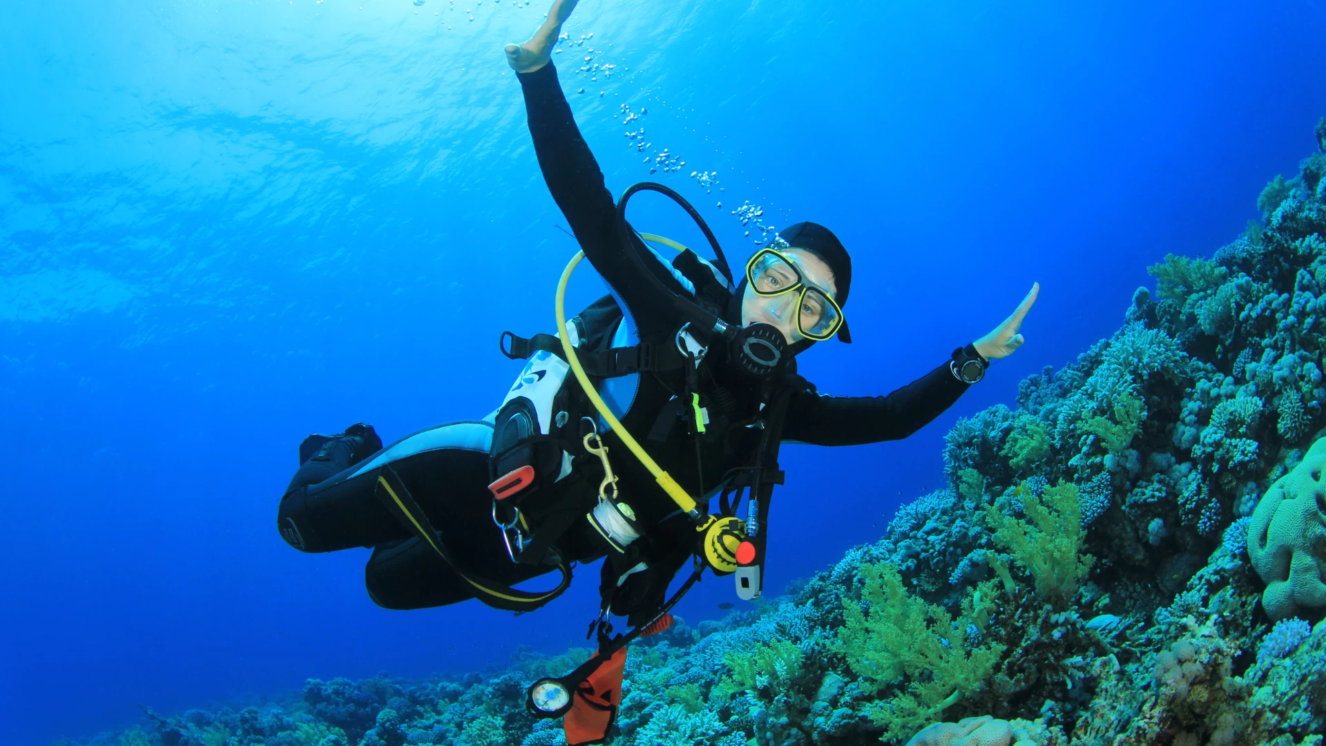 Curso Open Water Scuba 