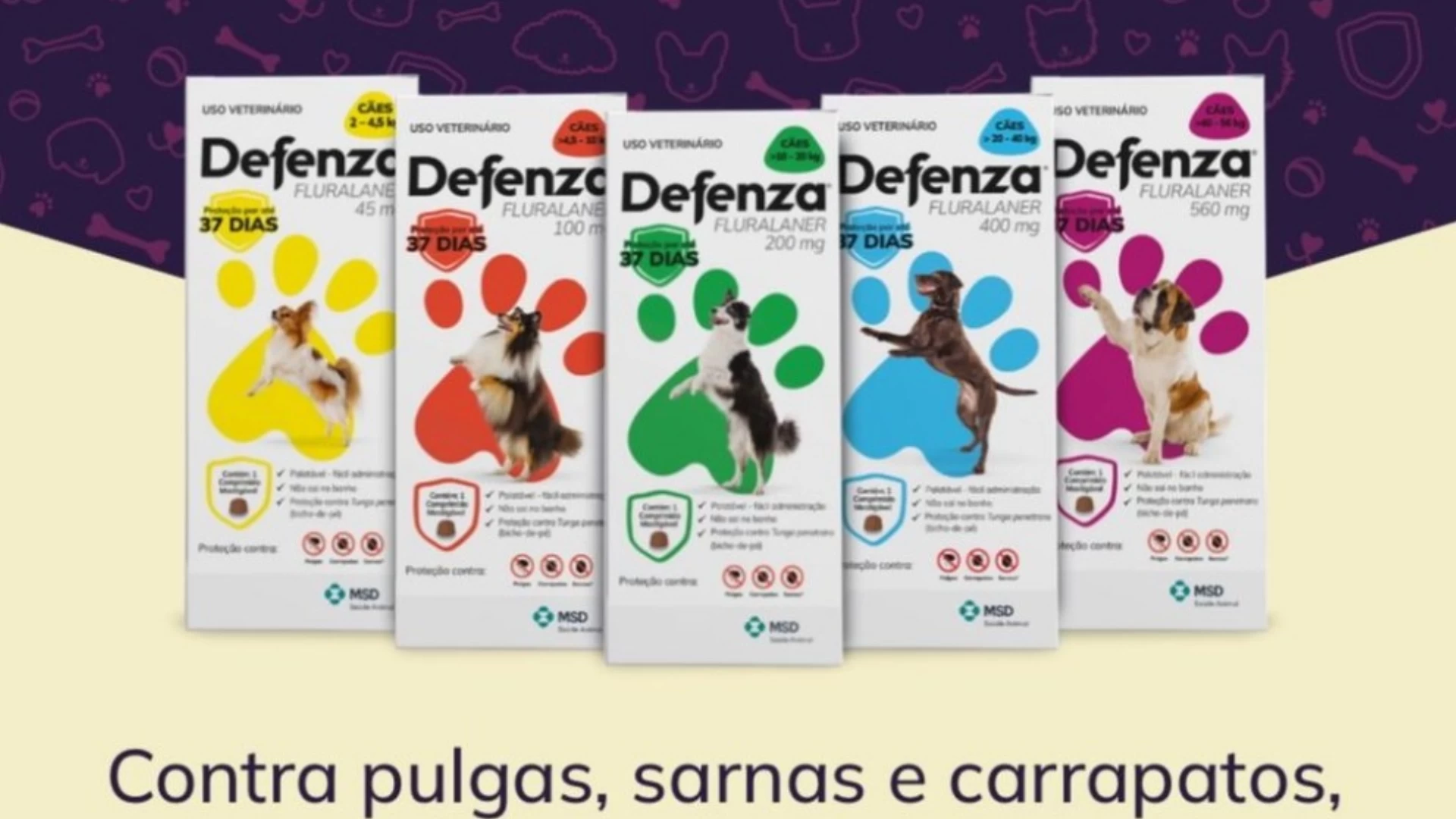 Defenza