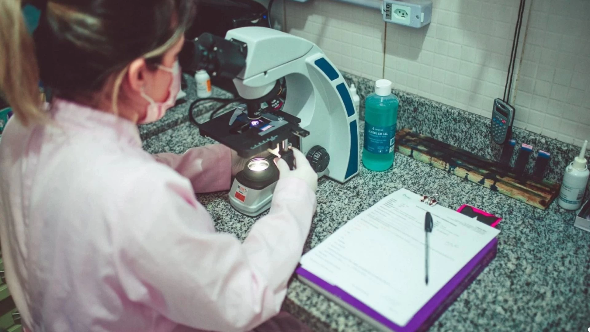 Exames em cães e gatos