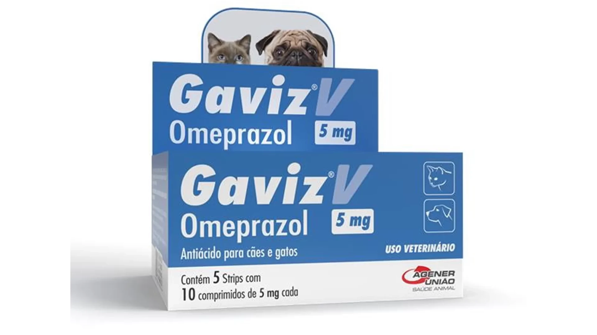 Gaviz