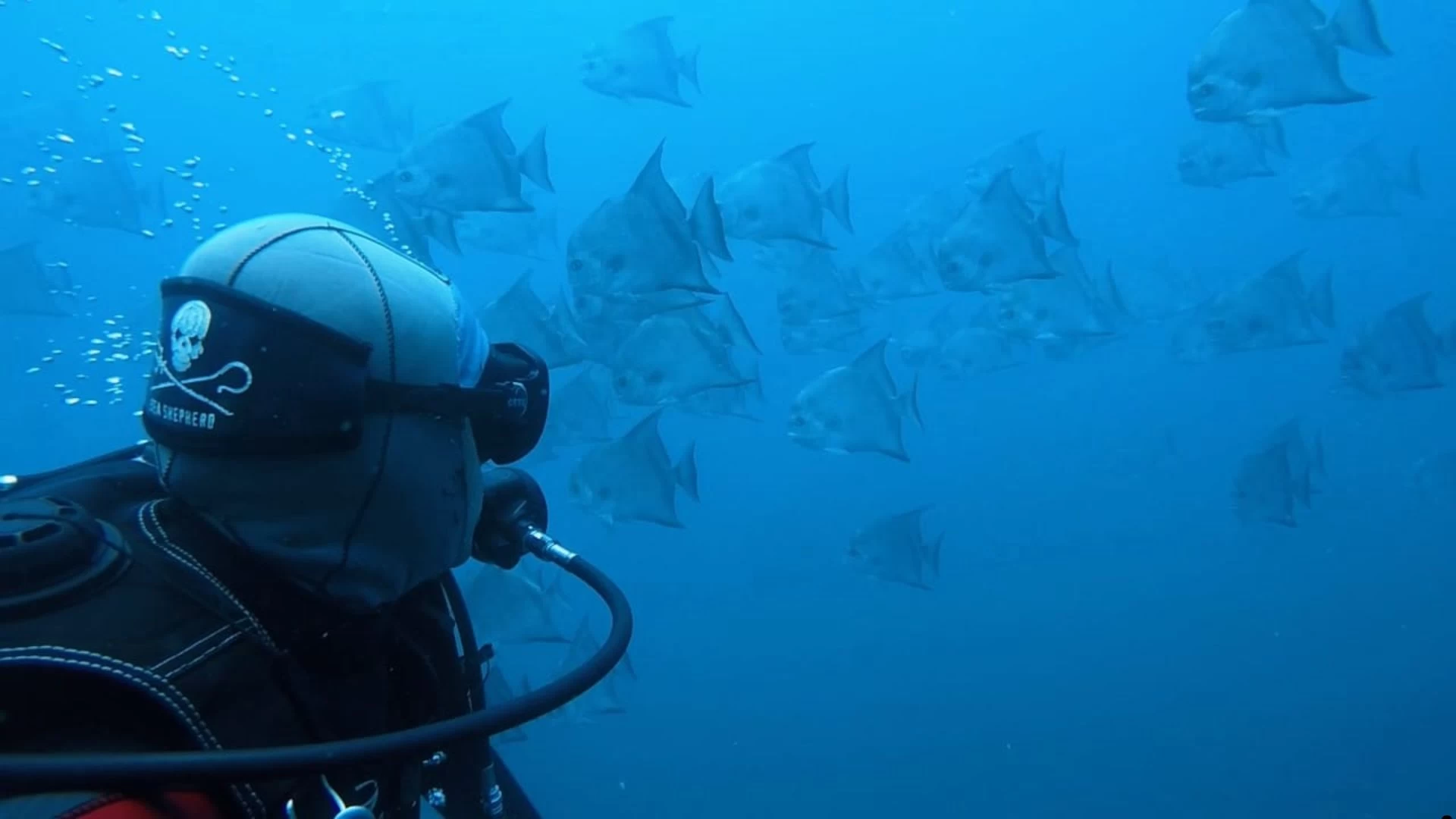 Mergulho Embarcado