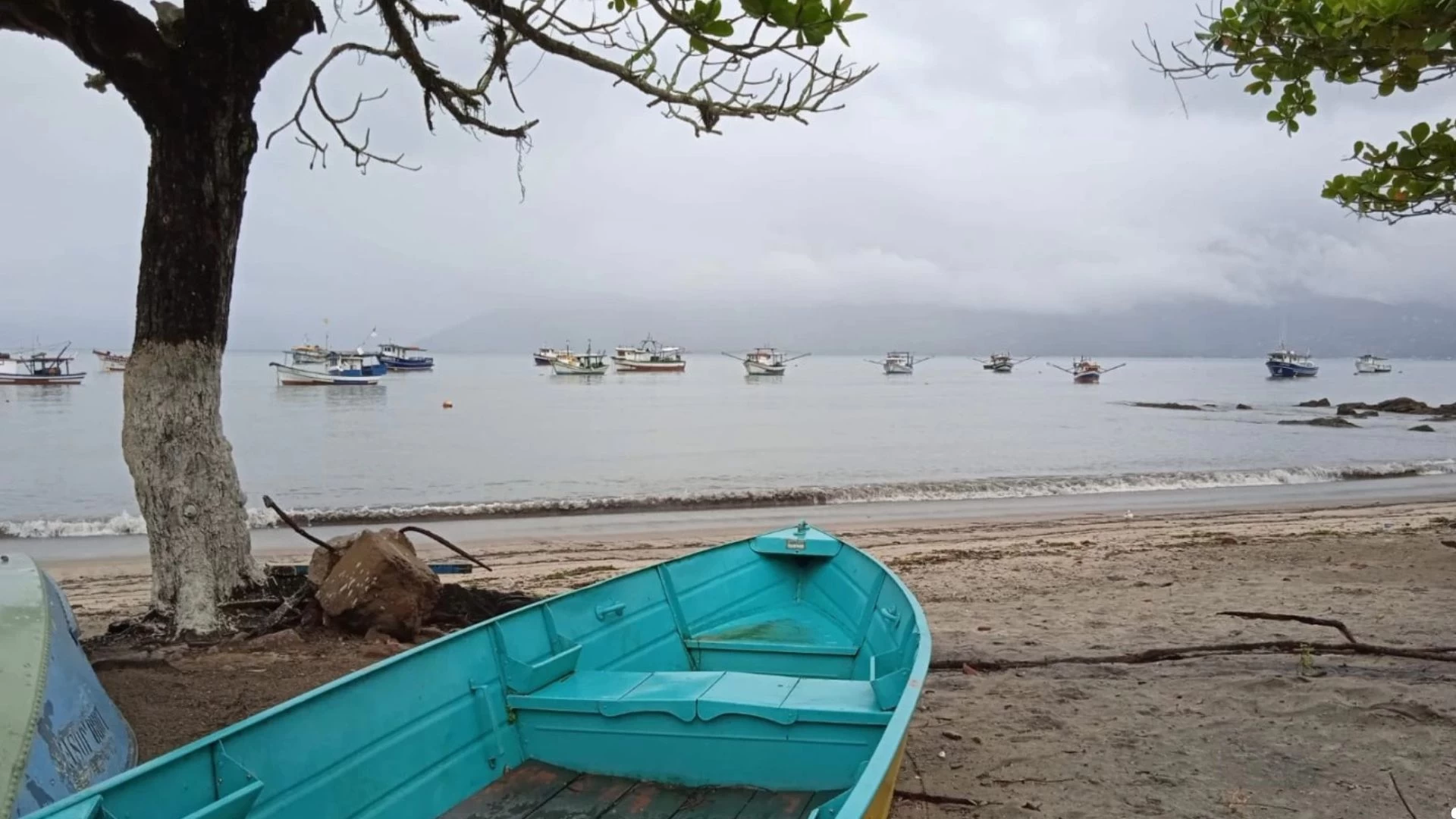 Passeio de Escuna 