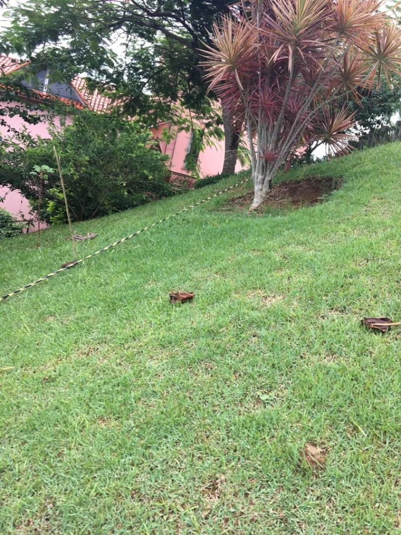Próximo a praia
