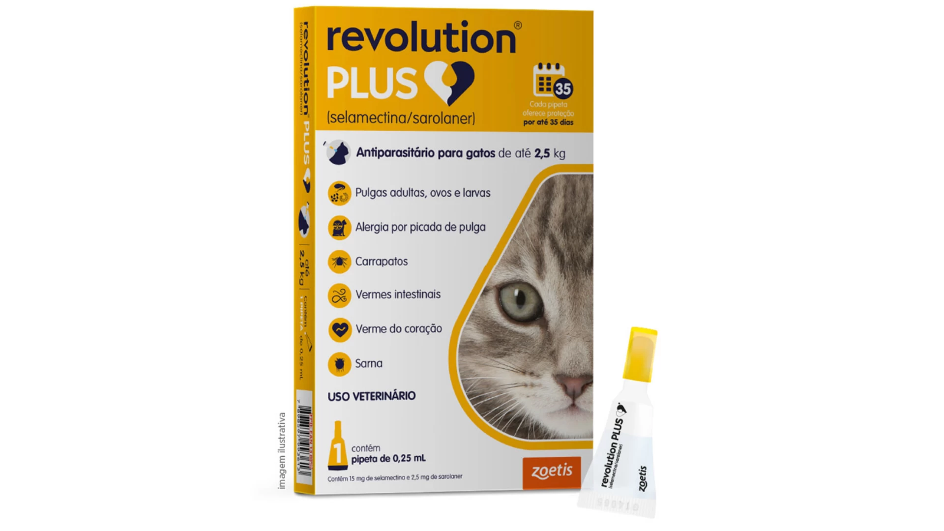 Revolution Plus