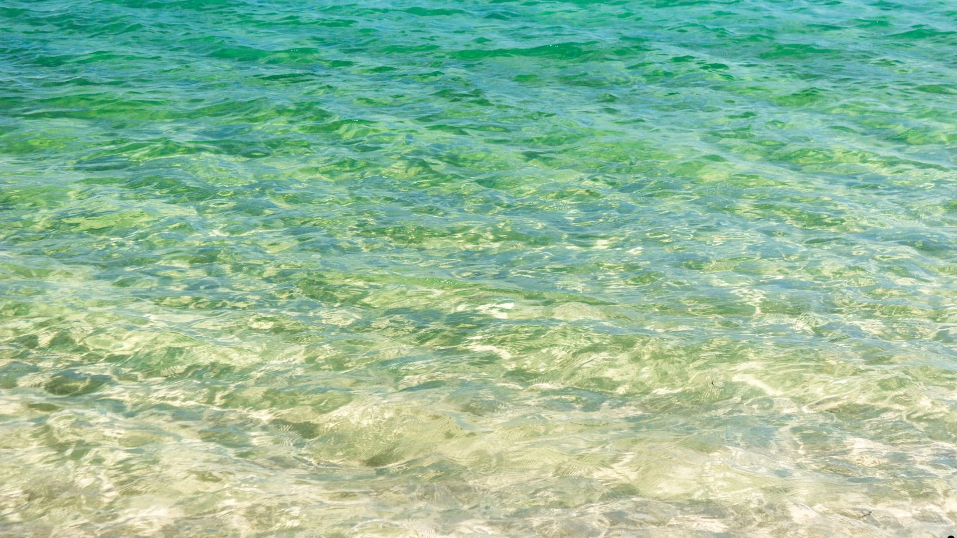 Roteiro Praia da fome