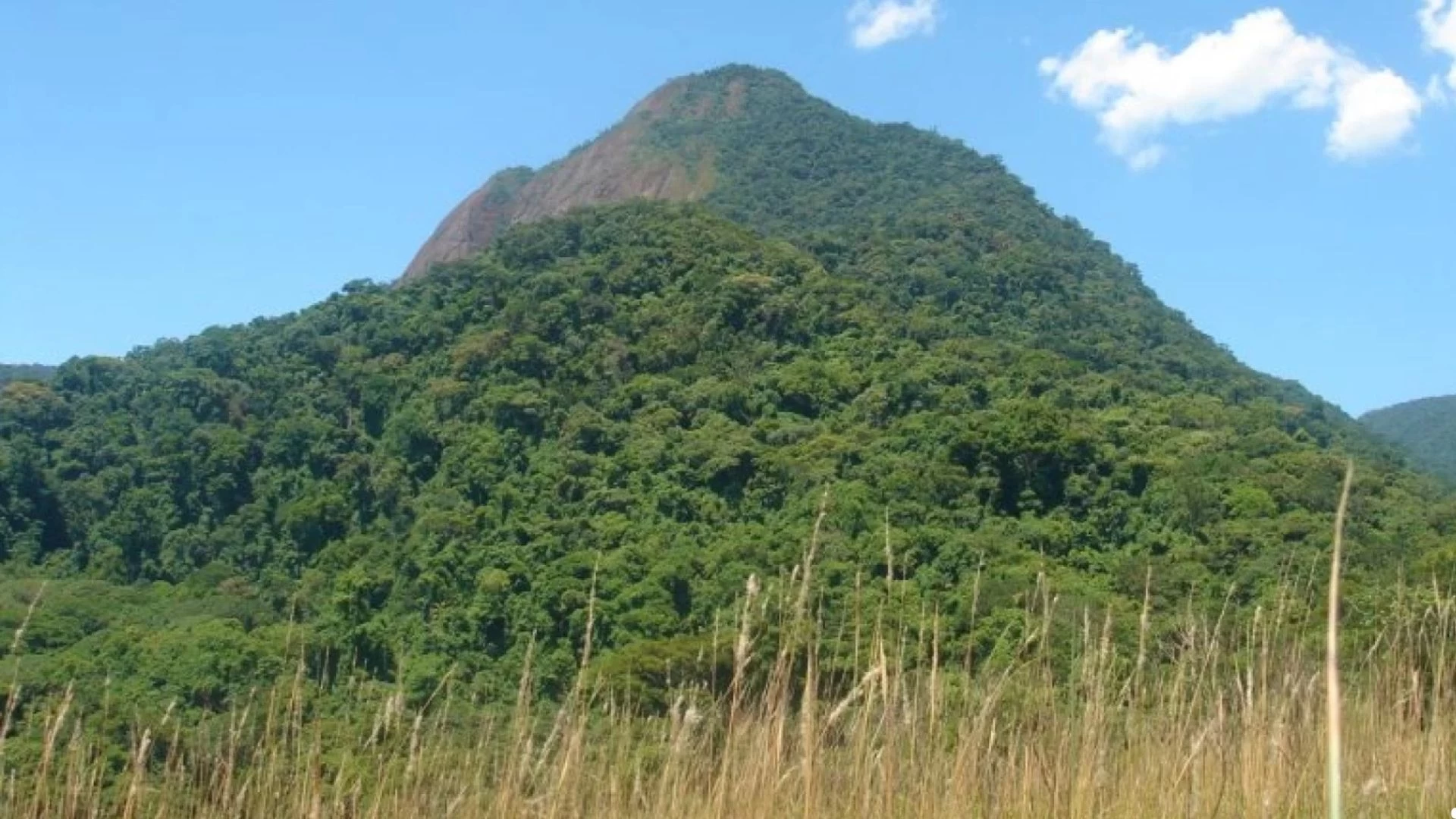 Trilhas Rápidas 