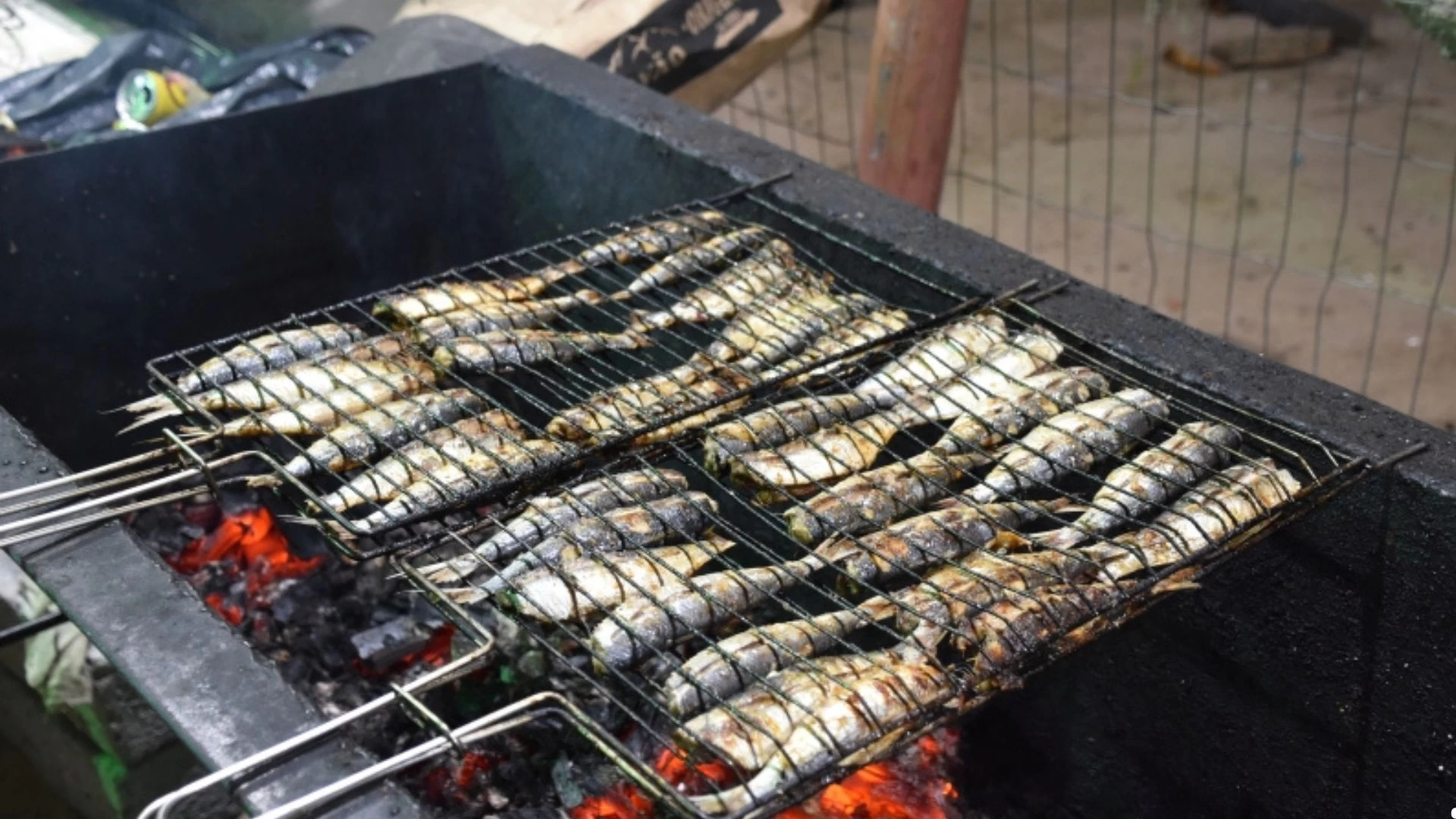 13ª edição do Festival da Sardinha 
