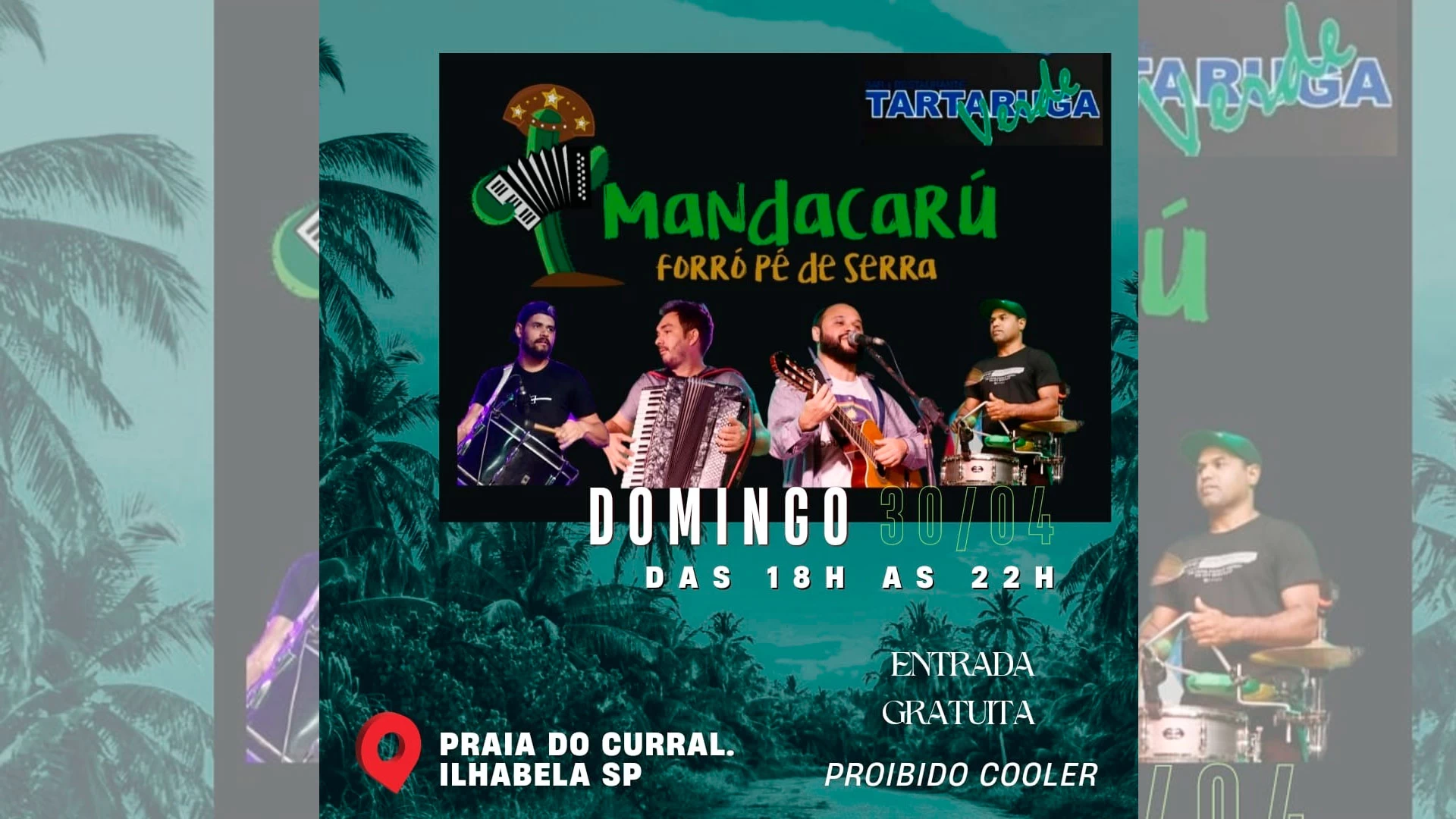 Mandacarú no Tartaruga Verde