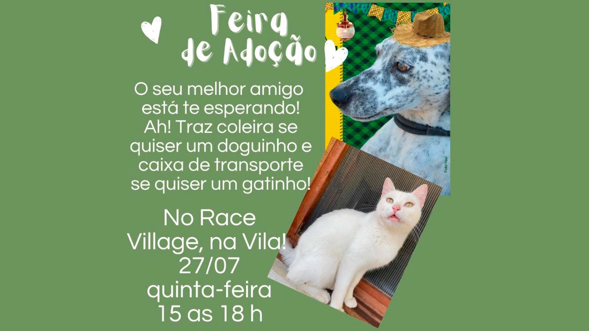 Feira de Adoção