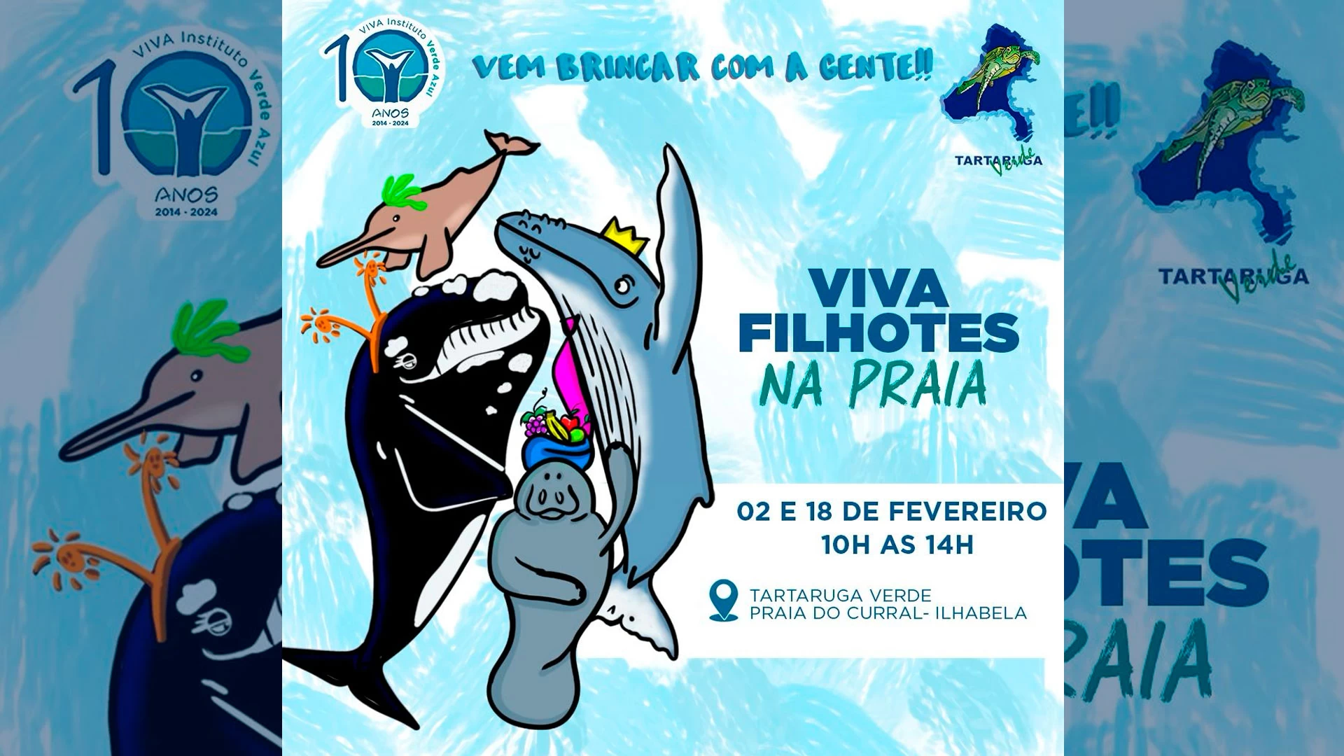 Viva Filhotes na Praia no Tartaruga