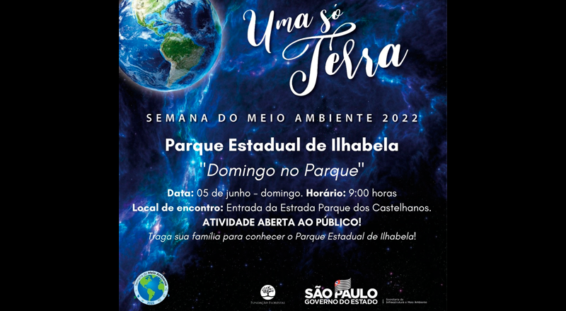 Domingo no Parque