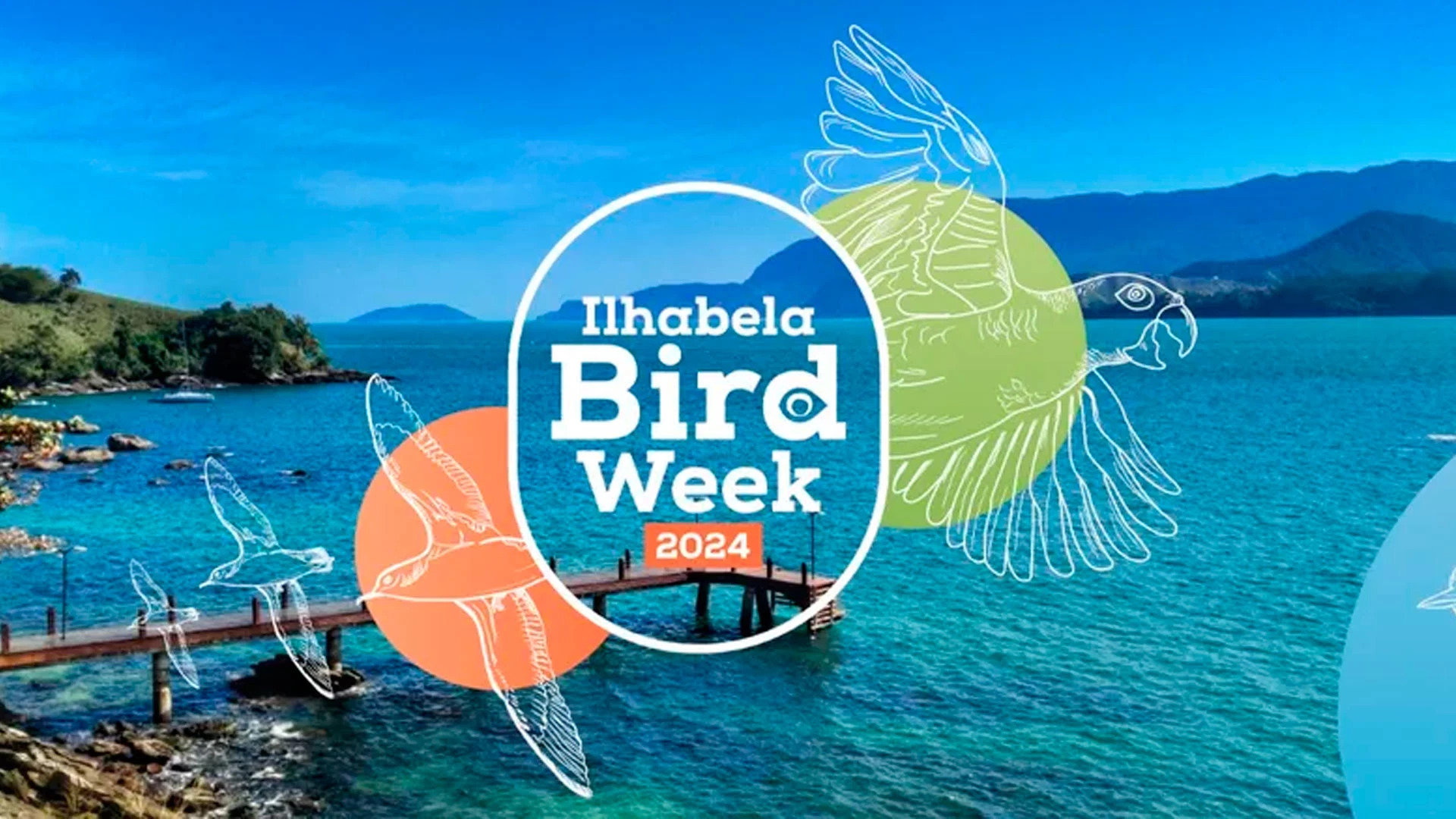 6º Bird Week