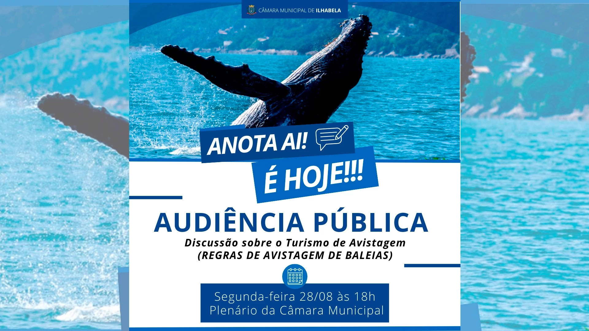 Audiência Pública - Regras de Avistagem
