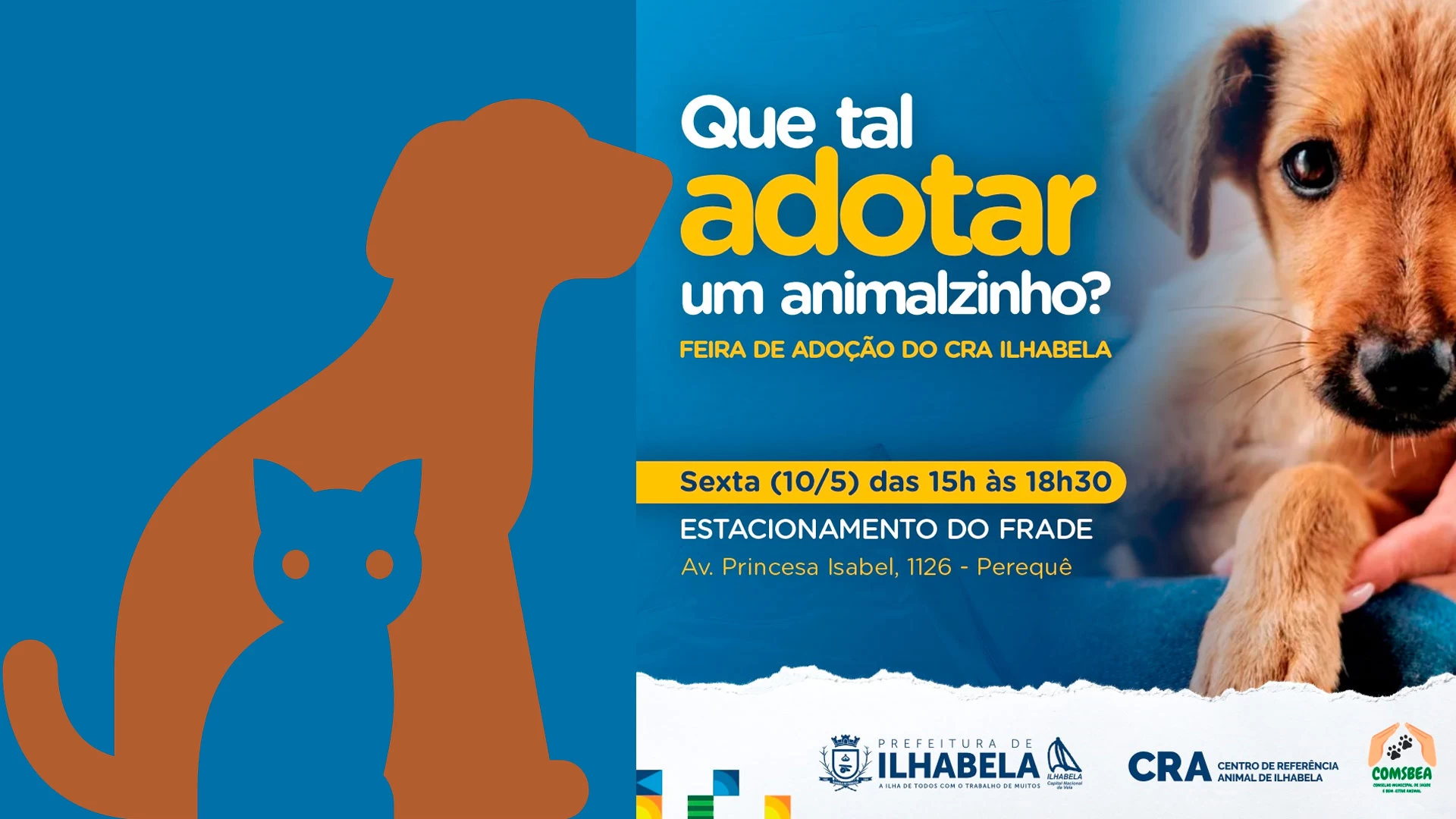 Feira de Adoção de cães e gatos 