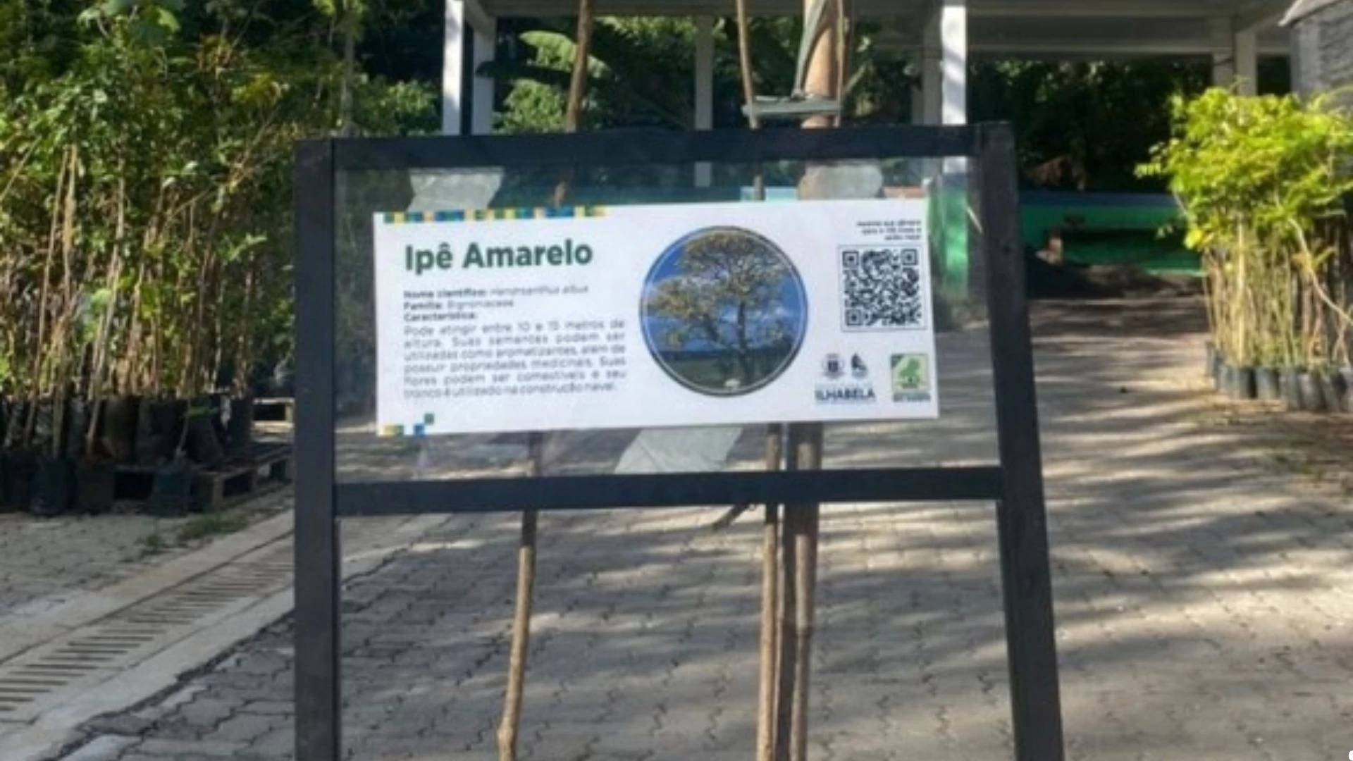 Educação ambiental com rodas de conversa