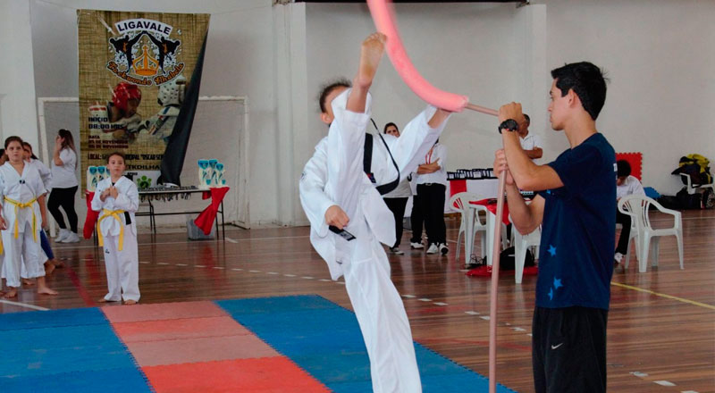 Festival de Taekwondo 