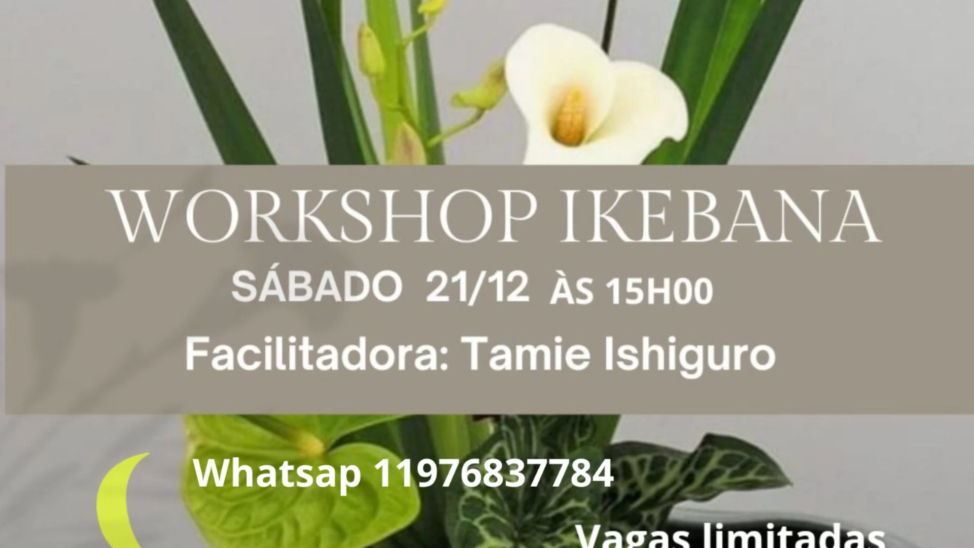 Workshop de Ikebana em Ilhabela