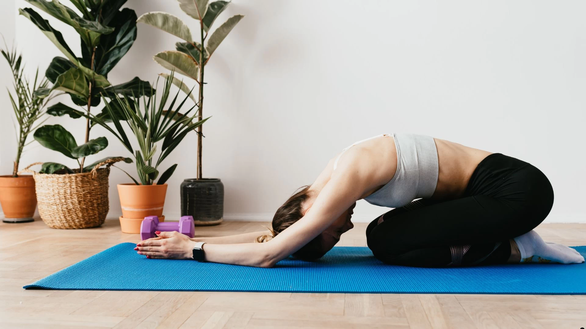 Aula Ginástica Postural 