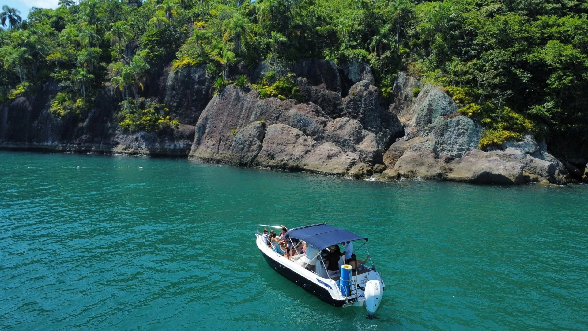 Avistamento Cetaceos 
